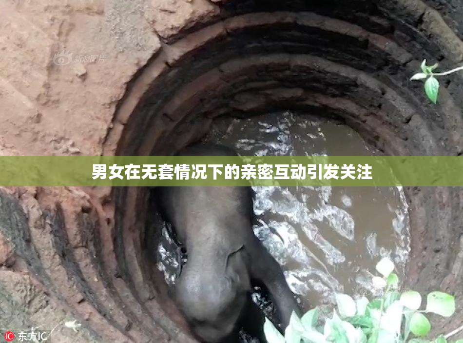 男女在无套情况下的亲密互动引发关注