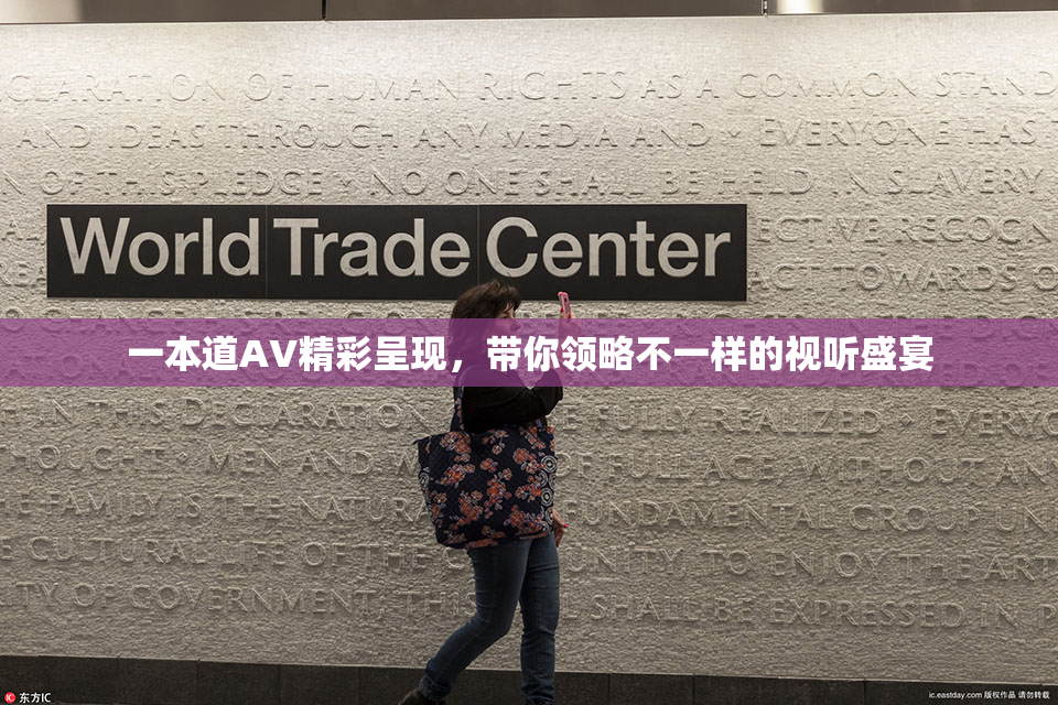一本道AV精彩呈现，带你领略不一样的视听盛宴