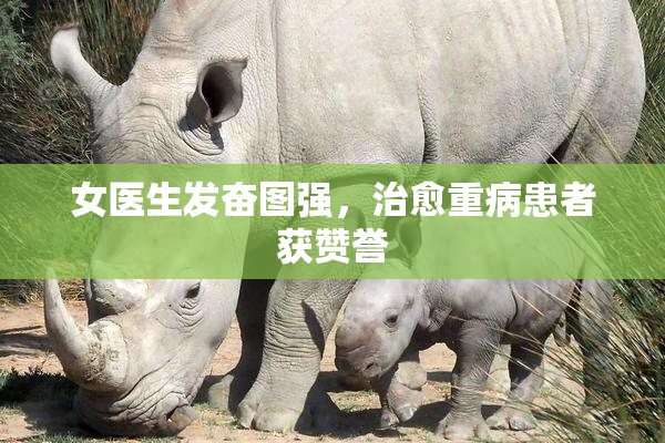 女医生发奋图强，治愈重病患者获赞誉