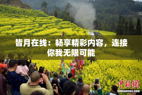 皆月在线：畅享精彩内容，连接你我无限可能