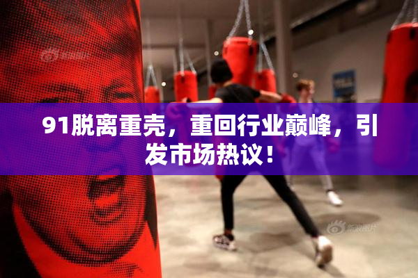 91脱离重壳，重回行业巅峰，引发市场热议！