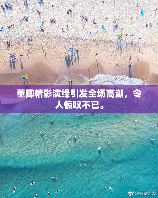 董卿精彩演绎引发全场高潮，令人惊叹不已。