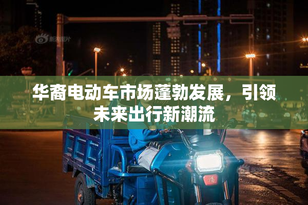 华裔电动车市场蓬勃发展，引领未来出行新潮流