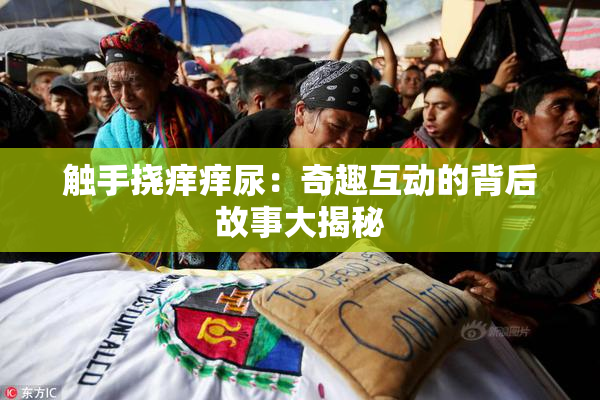 触手挠痒痒尿：奇趣互动的背后故事大揭秘