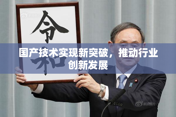 国产技术实现新突破，推动行业创新发展