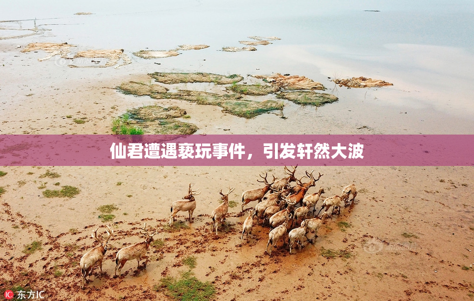仙君遭遇亵玩事件，引发轩然大波