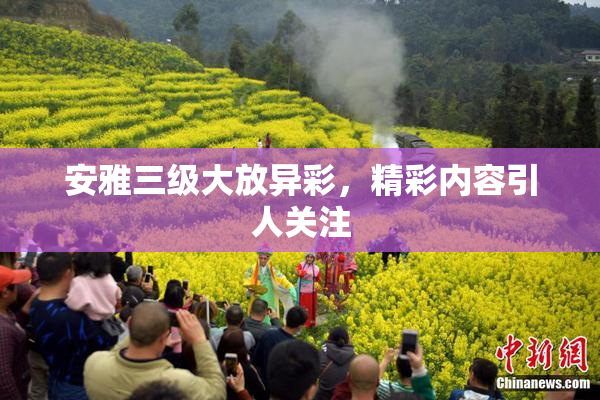 安雅三级大放异彩，精彩内容引人关注