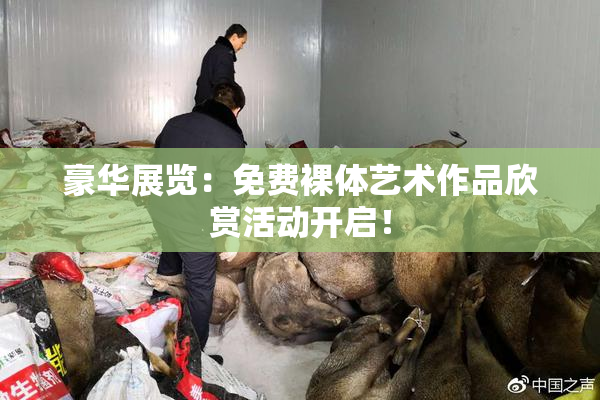 豪华展览：免费裸体艺术作品欣赏活动开启！