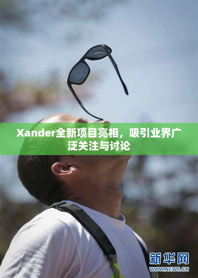 Xander全新项目亮相，吸引业界广泛关注与讨论