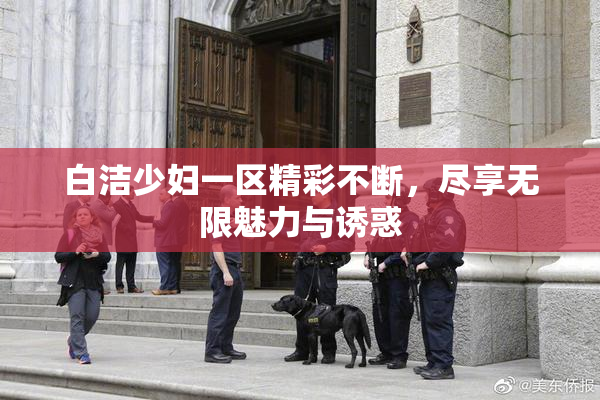 白洁少妇一区精彩不断，尽享无限魅力与诱惑
