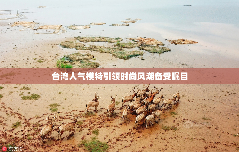台湾人气模特引领时尚风潮备受瞩目