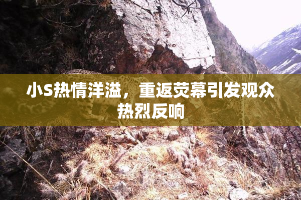 小S热情洋溢，重返荧幕引发观众热烈反响