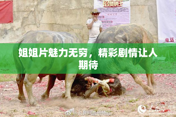 姐姐片魅力无穷，精彩剧情让人期待
