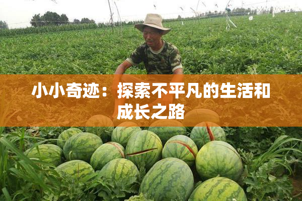 小小奇迹：探索不平凡的生活和成长之路