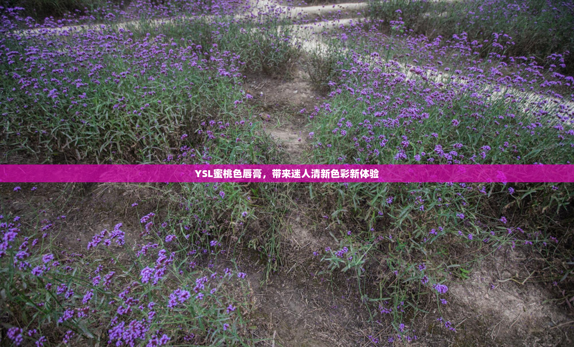 YSL蜜桃色唇膏，带来迷人清新色彩新体验