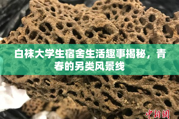 白袜大学生宿舍生活趣事揭秘，青春的另类风景线