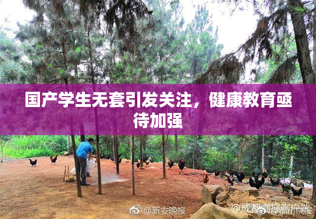 国产学生无套引发关注，健康教育亟待加强