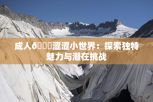 成人🔞涩涩小世界：探索独特魅力与潜在挑战