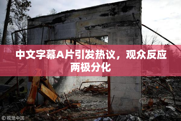 中文字幕A片引发热议，观众反应两极分化