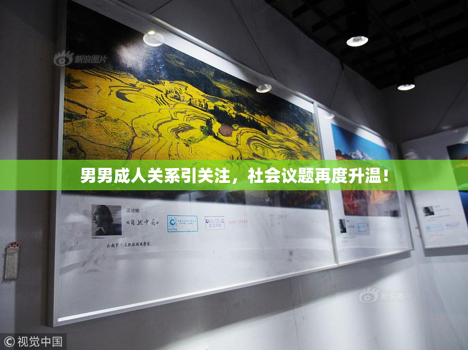男男成人关系引关注，社会议题再度升温！