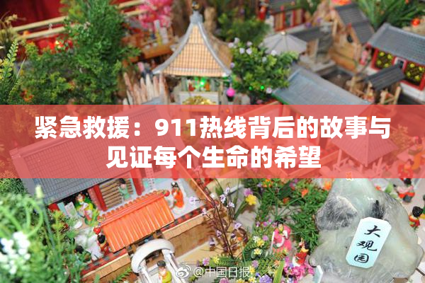 紧急救援：911热线背后的故事与见证每个生命的希望