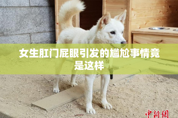 女生肛门屁眼引发的尴尬事情竟是这样