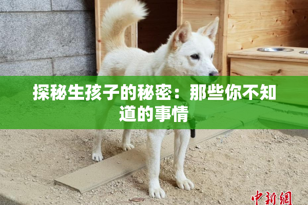 探秘生孩子的秘密：那些你不知道的事情