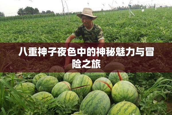 八重神子夜色中的神秘魅力与冒险之旅