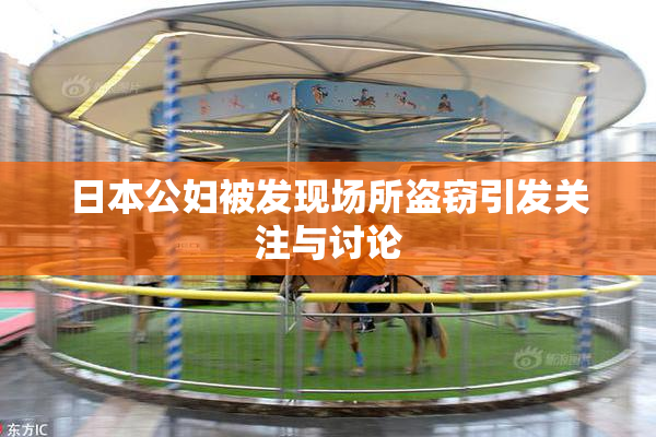 日本公妇被发现场所盗窃引发关注与讨论
