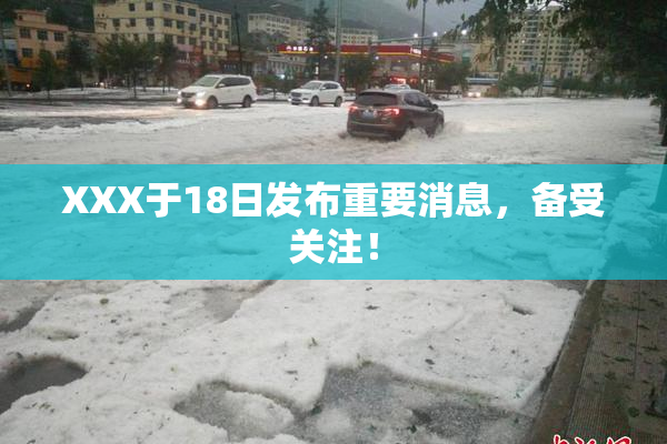 XXX于18日发布重要消息，备受关注！