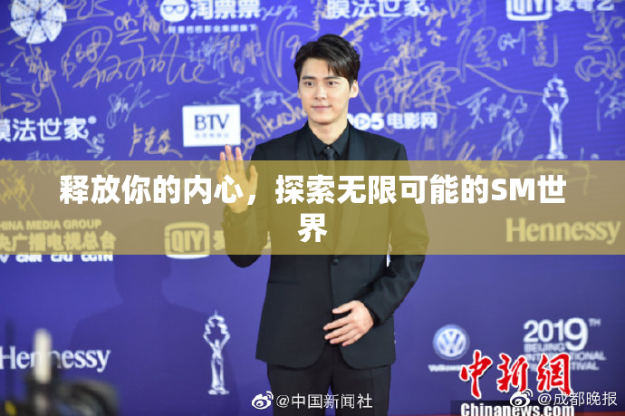 释放你的内心，探索无限可能的SM世界
