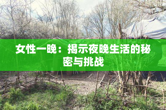女性一晚：揭示夜晚生活的秘密与挑战