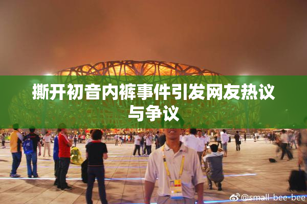 撕开初音内裤事件引发网友热议与争议