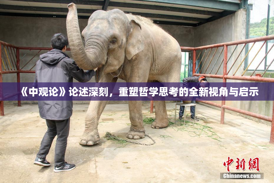《中观论》论述深刻，重塑哲学思考的全新视角与启示