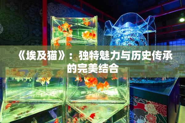 《埃及猫》：独特魅力与历史传承的完美结合