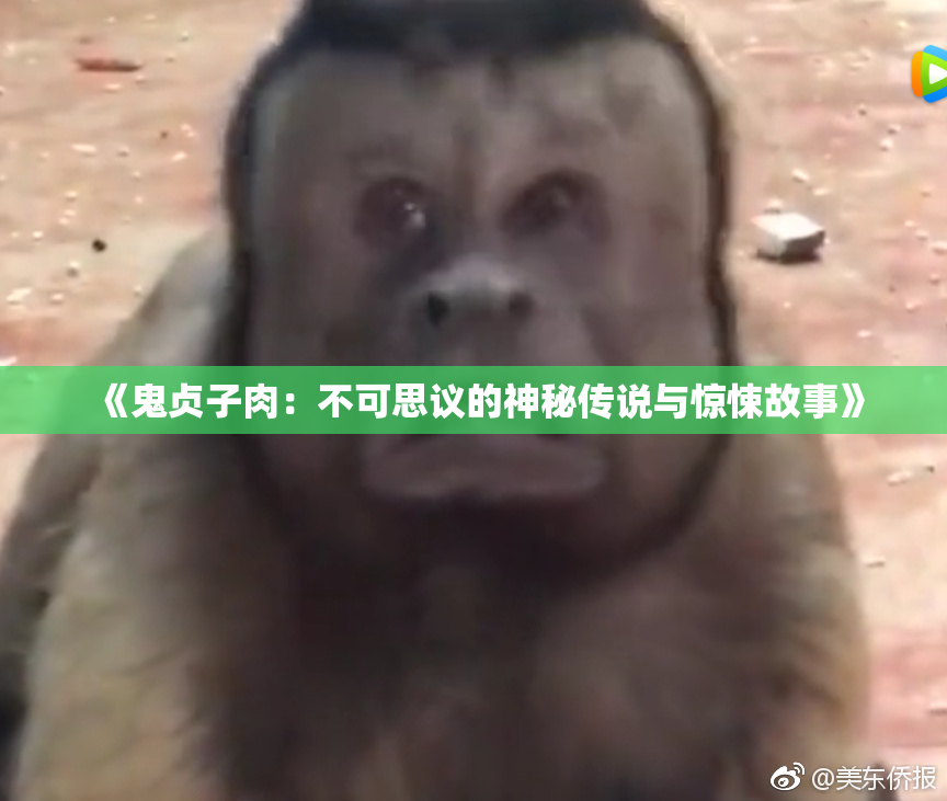 《鬼贞子肉：不可思议的神秘传说与惊悚故事》