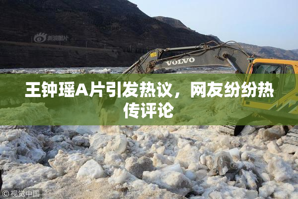 王钟瑶A片引发热议，网友纷纷热传评论