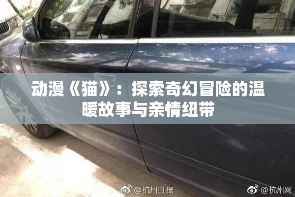 动漫《猫》：探索奇幻冒险的温暖故事与亲情纽带