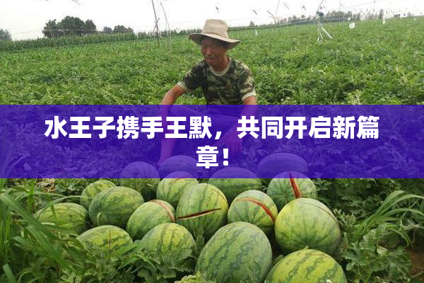 水王子携手王默，共同开启新篇章！