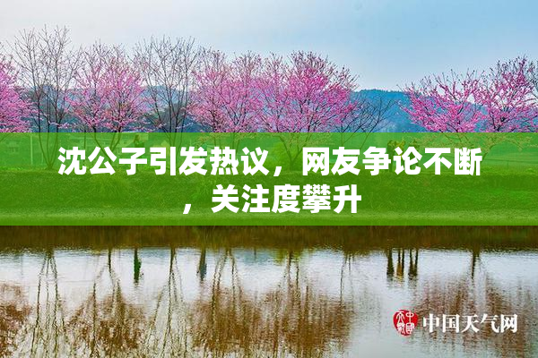 沈公子引发热议，网友争论不断，关注度攀升