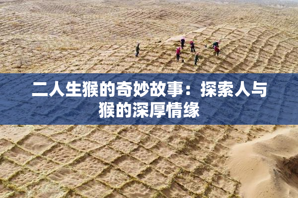 二人生猴的奇妙故事：探索人与猴的深厚情缘
