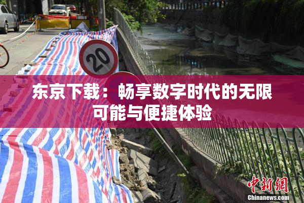 东京下载：畅享数字时代的无限可能与便捷体验