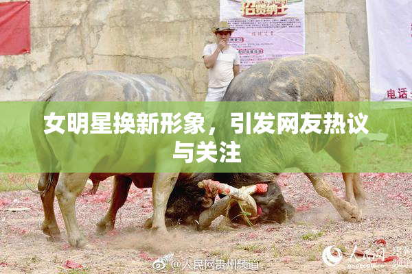 女明星换新形象，引发网友热议与关注