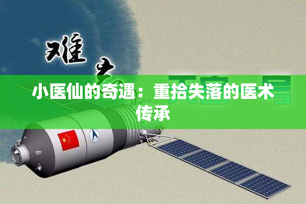 小医仙的奇遇：重拾失落的医术传承