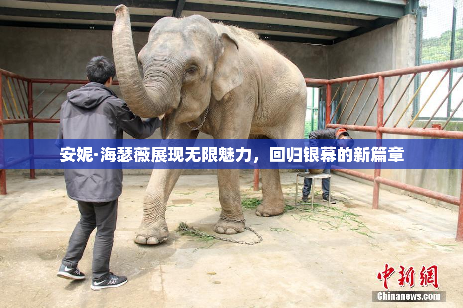 安妮·海瑟薇展现无限魅力，回归银幕的新篇章