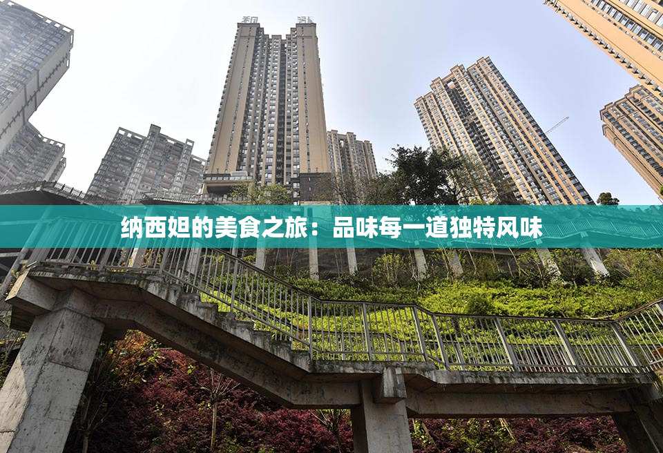 纳西妲的美食之旅：品味每一道独特风味