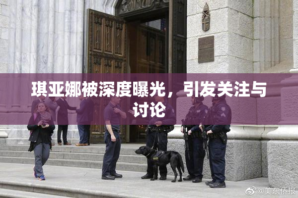 琪亚娜被深度曝光，引发关注与讨论