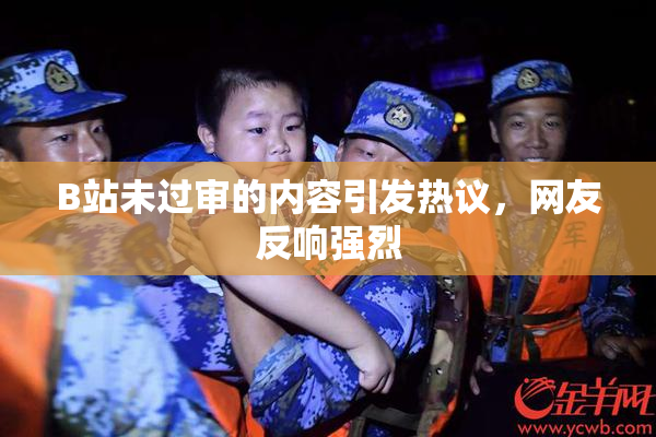 B站未过审的内容引发热议，网友反响强烈
