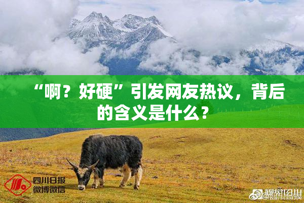 “啊？好硬”引发网友热议，背后的含义是什么？