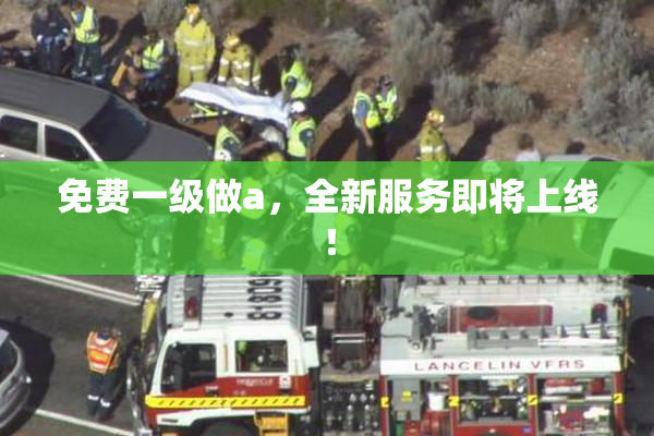 免费一级做a，全新服务即将上线！